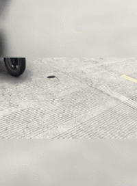 t0100ff684c25238c9f.gif